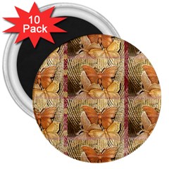 Butterflies 3  Magnets (10 Pack) 