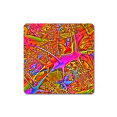 Biology 101 Abstract Square Magnet