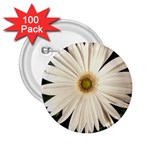 Daisyc 2.25  Buttons (100 pack)  Front