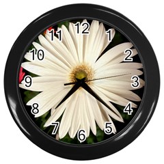 Daisyc Wall Clocks (black)