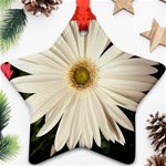 Daisyc Star Ornament (Two Sides)  Front