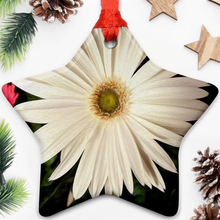 Daisyc Star Ornament (Two Sides) 