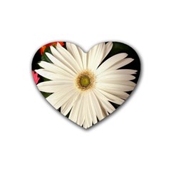 Daisyc Heart Coaster (4 Pack) 