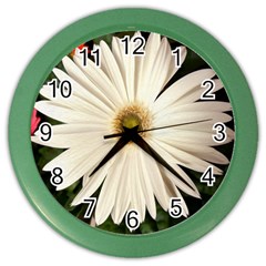 Daisyc Color Wall Clocks