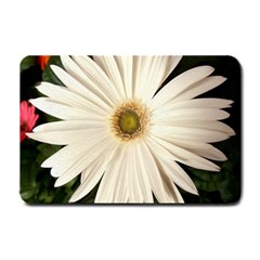 Daisyc Small Doormat 