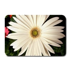 Daisyc Plate Mats