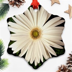 Daisyc Snowflake Ornament (2-side)