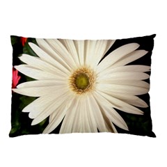 Daisyc Pillow Cases (two Sides)