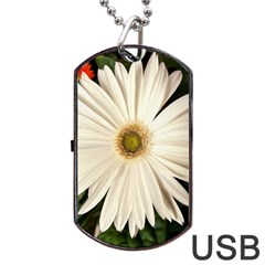 Daisyc Dog Tag Usb Flash (two Sides) 