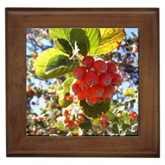 Rowan Framed Tiles