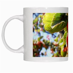 Rowan White Mugs