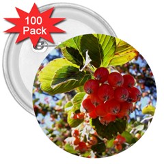 Rowan 3  Buttons (100 Pack) 