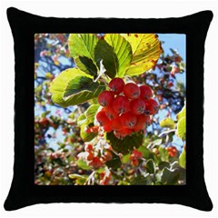 Rowan Throw Pillow Cases (black)