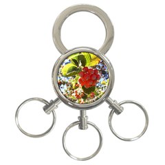 Rowan 3-ring Key Chains