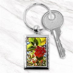 Rowan Key Chains (rectangle) 