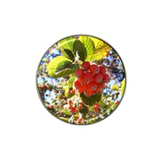 Rowan Hat Clip Ball Marker