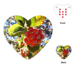 Rowan Playing Cards (heart)  by infloence