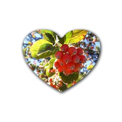 Rowan Rubber Coaster (heart) 