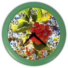 Rowan Color Wall Clocks