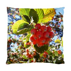 Rowan Standard Cushion Case (one Side) 