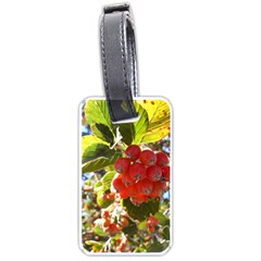 Rowan Luggage Tags (one Side) 