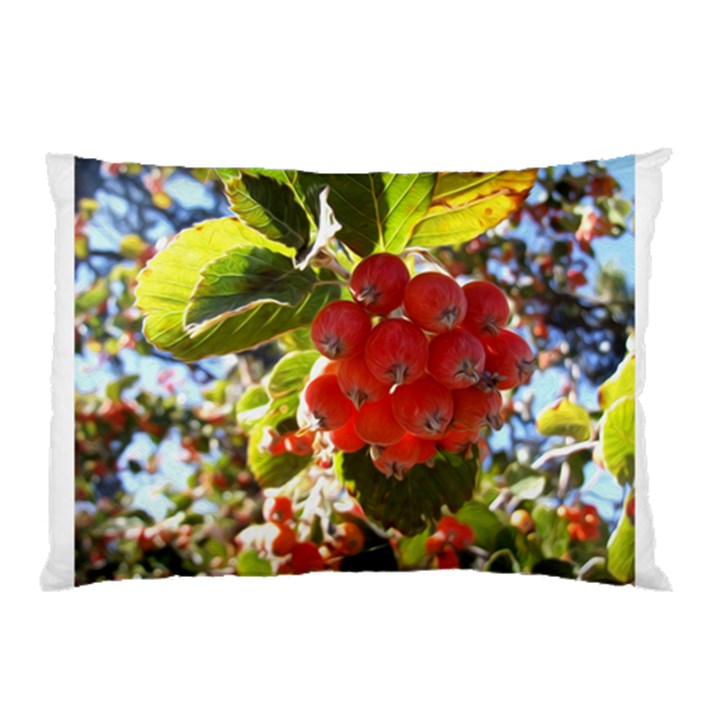 Rowan Pillow Cases (Two Sides)