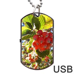 Rowan Dog Tag Usb Flash (two Sides)  by infloence