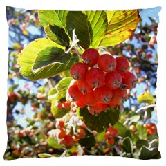 Rowan Large Cushion Cases (one Side) 