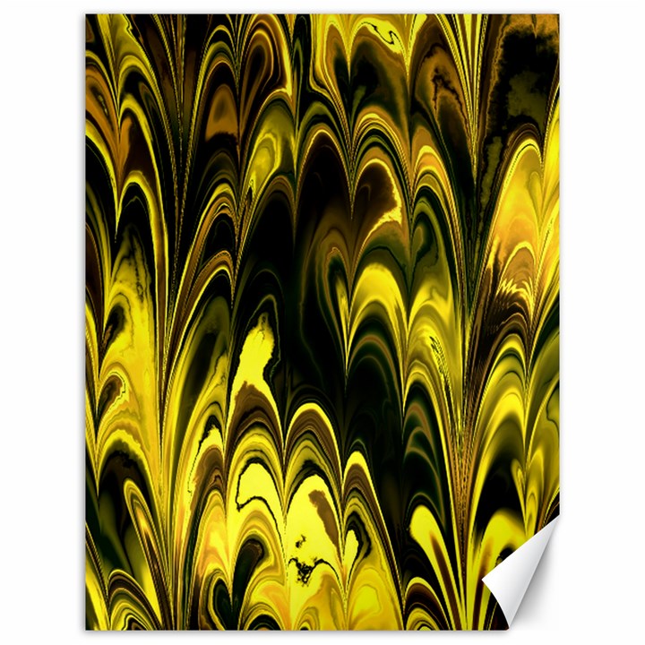 Fractal Marbled 15 Canvas 12  x 16  