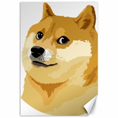 Dogecoin Canvas 12  X 18  