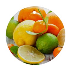 Citrus Fruits Ornament (round)  by emkurr