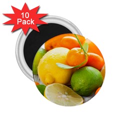 Citrus Fruits 2 25  Magnets (10 Pack)  by emkurr