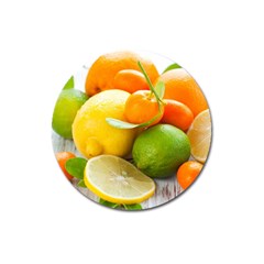 Citrus Fruits Magnet 3  (round) by emkurr