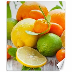 Citrus Fruits Canvas 8  X 10 