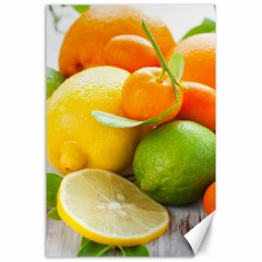 Citrus Fruits Canvas 24  X 36  by emkurr