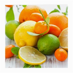 Citrus Fruits Medium Glasses Cloth (2-side)