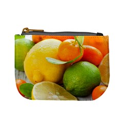 Citrus Fruits Mini Coin Purses by emkurr