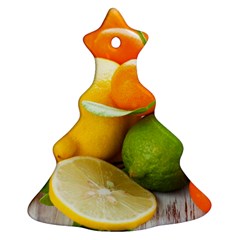 Citrus Fruits Christmas Tree Ornament (2 Sides) by emkurr