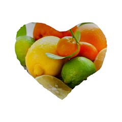 Citrus Fruits Standard 16  Premium Heart Shape Cushions by emkurr