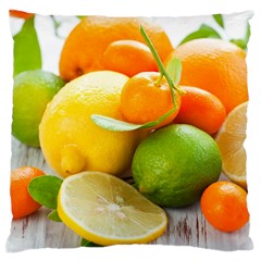 Citrus Fruits Standard Flano Cushion Cases (two Sides) 