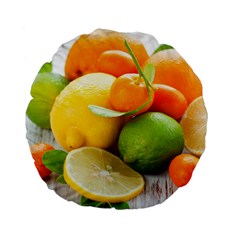 Citrus Fruits Standard 15  Premium Flano Round Cushions by emkurr