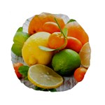 Citrus Fruits Standard 15  Premium Flano Round Cushions Back