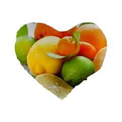 Citrus Fruits Standard 16  Premium Flano Heart Shape Cushions by emkurr