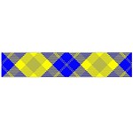 Smart Plaid Blue Yellow Flano Scarf (Large)  Front