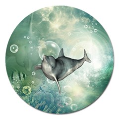 Funny Dswimming Dolphin Magnet 5  (round)