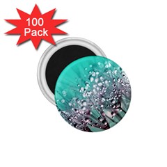 Dandelion 2015 0701 1 75  Magnets (100 Pack)  by JAMFoto