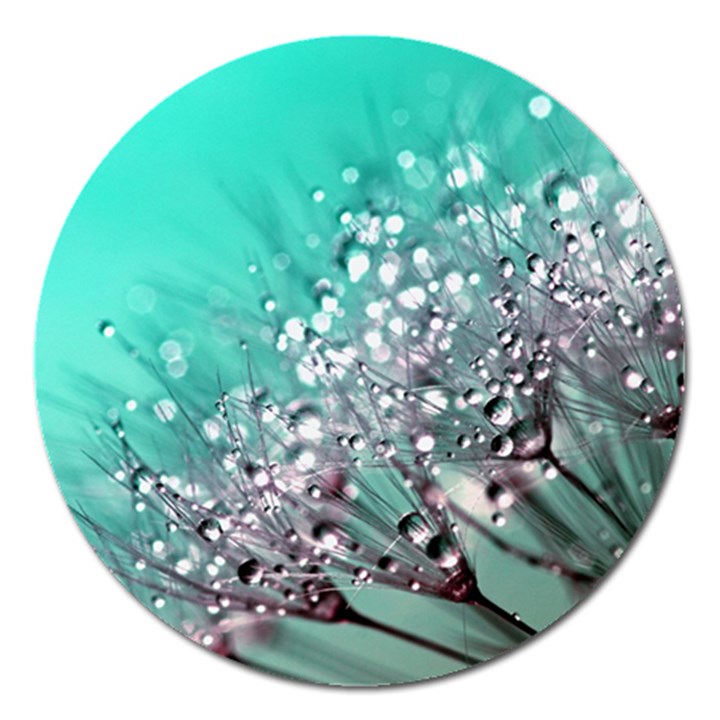 Dandelion 2015 0701 Magnet 5  (Round)