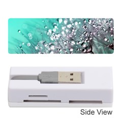 Dandelion 2015 0701 Memory Card Reader (stick)  by JAMFoto