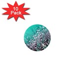 Dandelion 2015 0701 1  Mini Buttons (10 pack)  Front