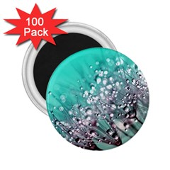 Dandelion 2015 0701 2 25  Magnets (100 Pack)  by JAMFoto